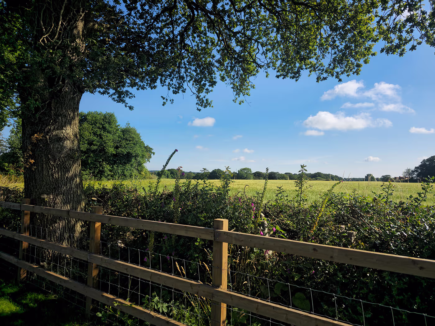 Berkswell Gardens