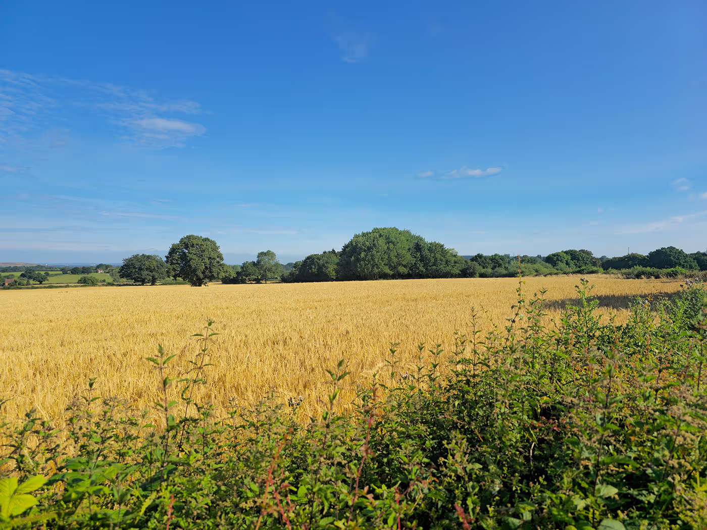 Berkswell Gardens